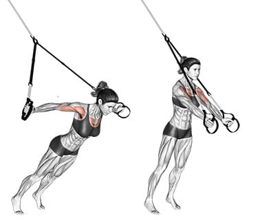 Suspension Chest Fly