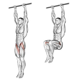 Hanging Knee Raise