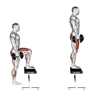 Dumbbell Step Up