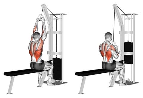 Close-Grip Lat Pulldown
