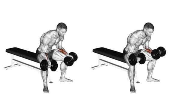 Seated Palms-Up Wrist Curl