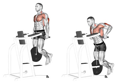 Weighted Triceps Dip