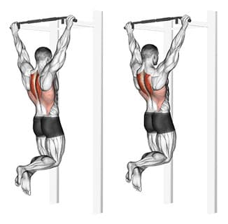 Scapular Pull Ups (Intentional Control Exception)