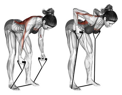 Band Bent Over Row