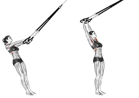 Suspension Front Raise