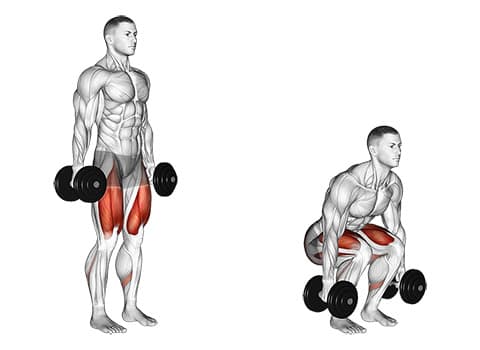 Dumbbell Squat