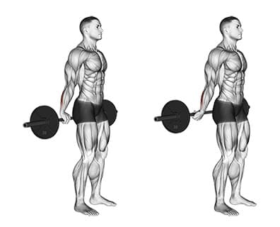 Behind-the-Back Barbell Wrist Curl