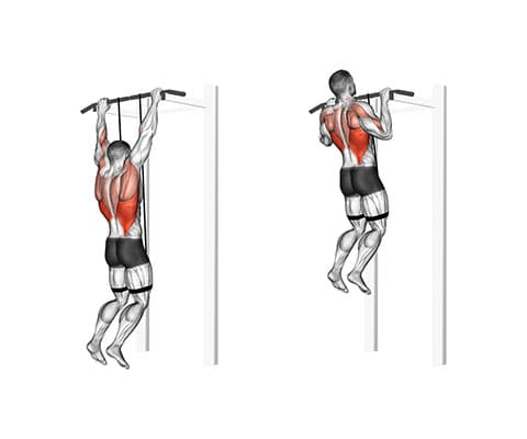 Band-Assisted Pull Up