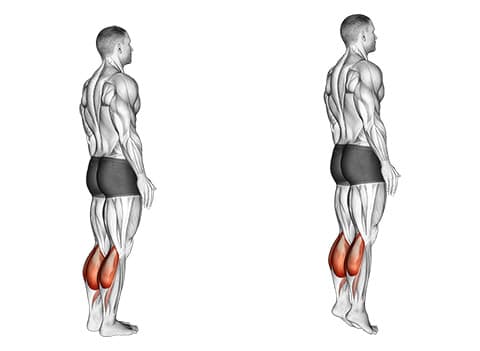 Standing Calf Raise