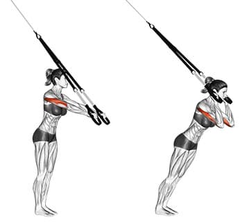 Suspension Triceps Extension