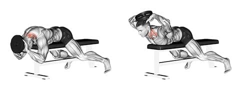 Lying Neck Extension (Plate)