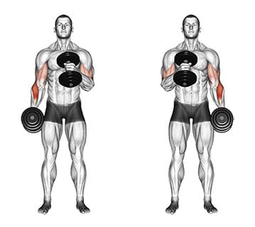 Cross Body Hammer Curl