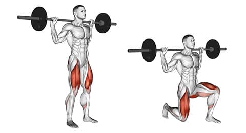 Reverse Lunge (Plate-Loaded)