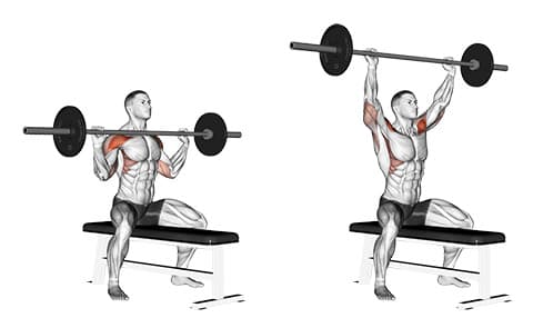 Seated Barbell Overhead Press